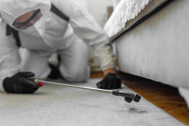 Professional Termite Control technician working in La Grange, NC