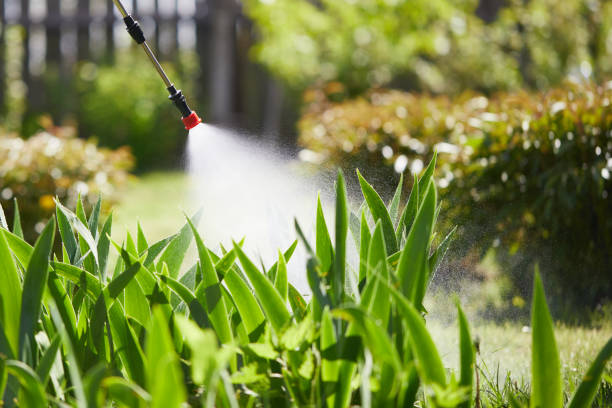 24/7 Emergency Termite Control experts in La Grange, NC
